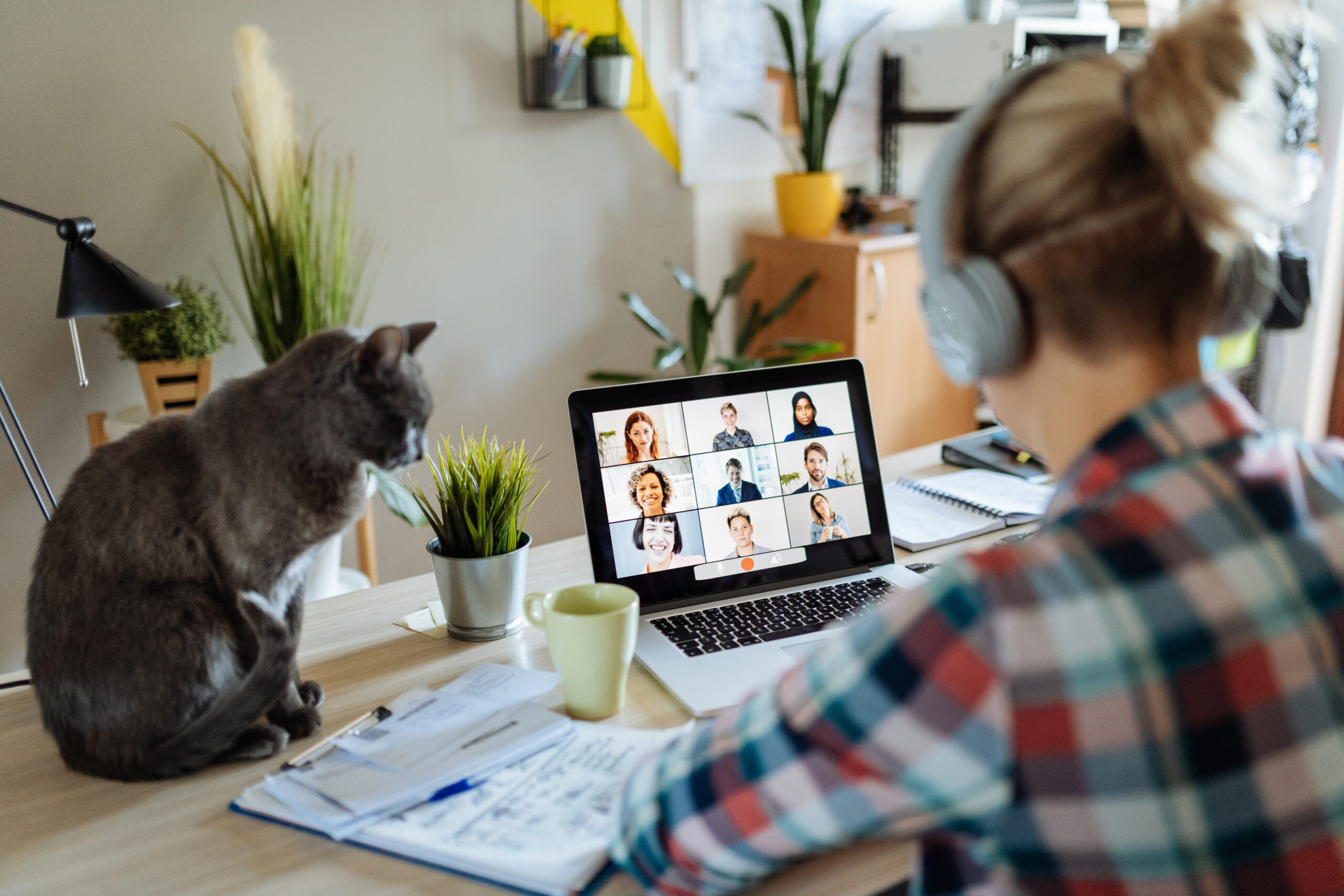 Virtual Group Counselling Sessions: Women Veterans and Women Veteran-Connected Family Members